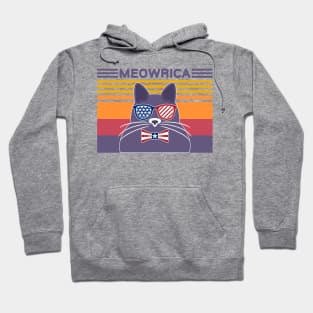 Meowrica Patriotic Cat Vintage Hoodie